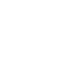 feature-item-2